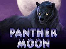 Panther Moon