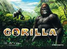 Лотомат Gorilla