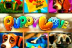 Лотомат Puppy Love