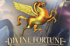 Divine Fortune